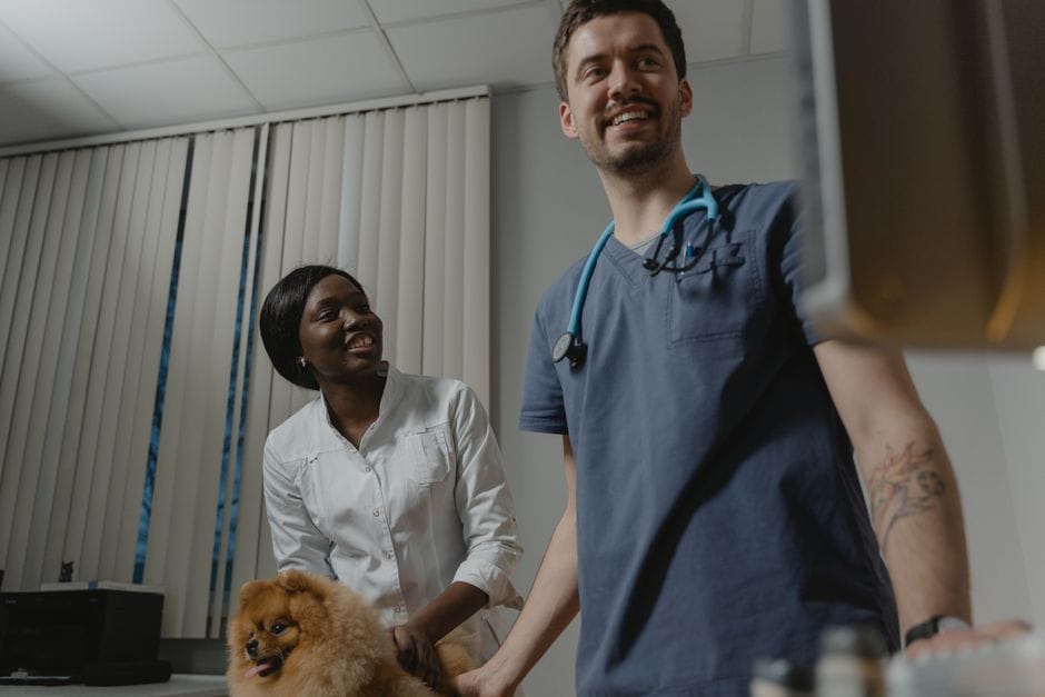Spese per gli animali domestici: mettere a budget l'imprevisto